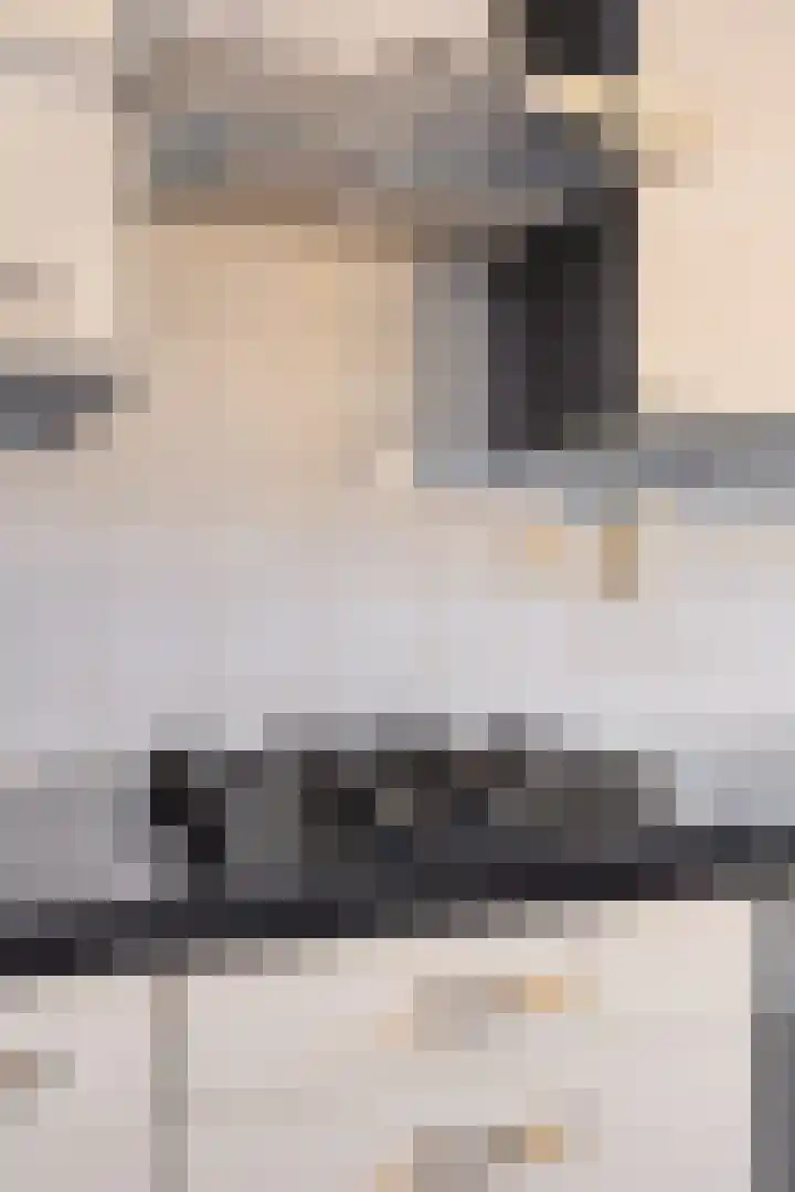 Roerdomp 14 's-Hertogenbosch thumbnail 7