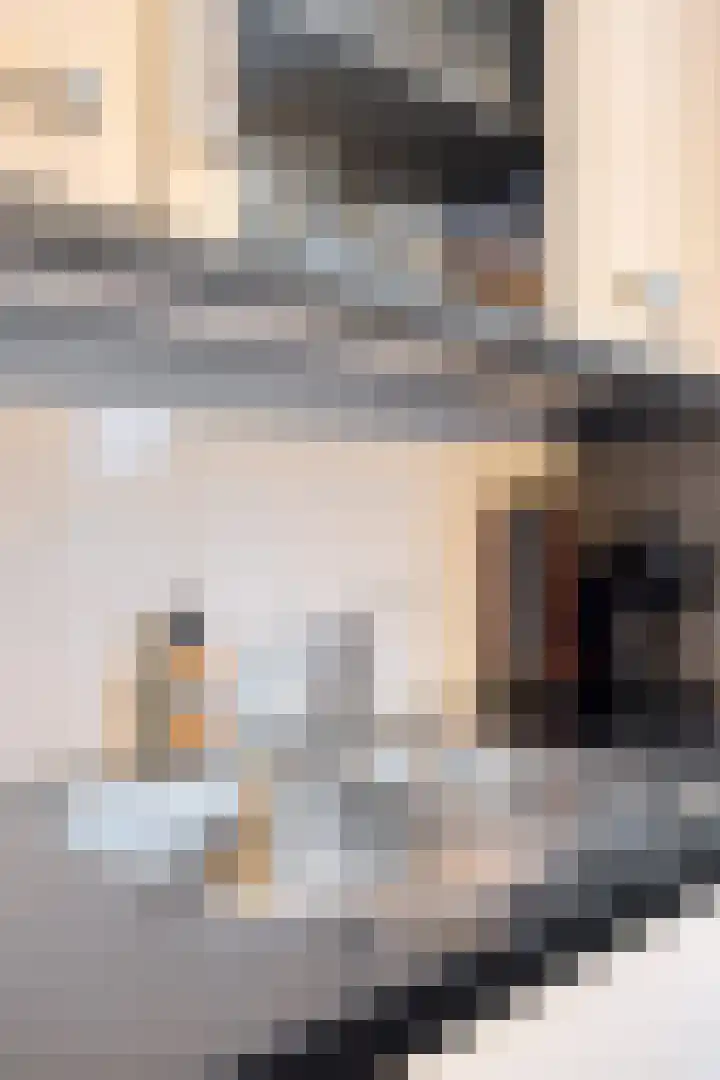 Roerdomp 14 's-Hertogenbosch thumbnail 8