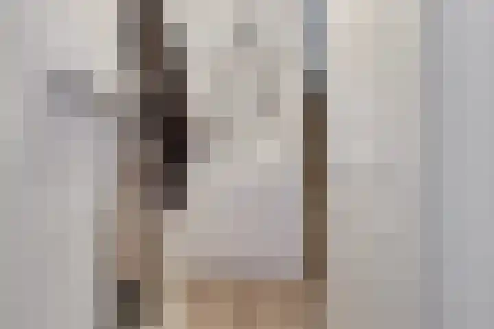 Roerdomp 14 's-Hertogenbosch thumbnail 9