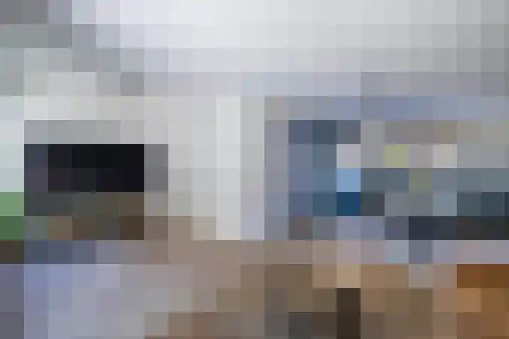 Roerdomp 16 Blaricum thumbnail 11
