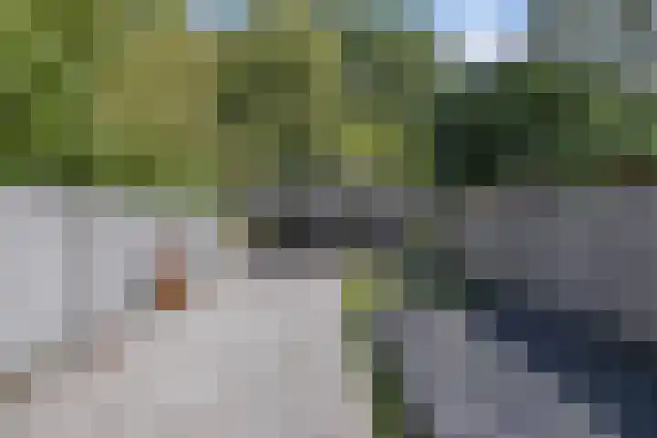 Roerdomp 16 Blaricum thumbnail 14