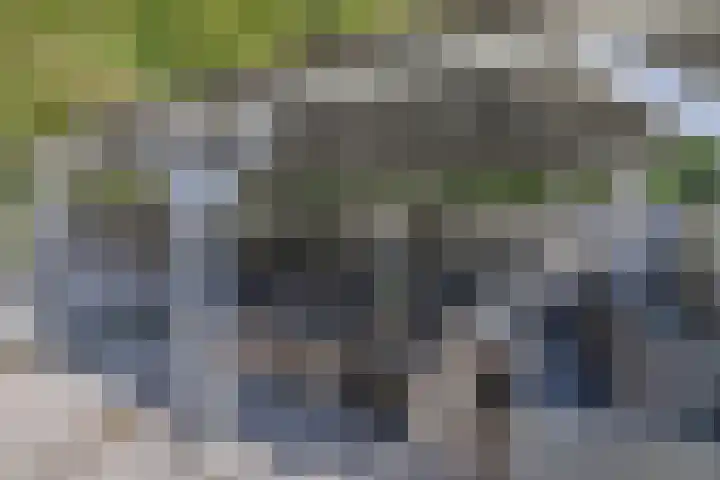 Roerdomp 16 Blaricum thumbnail 15