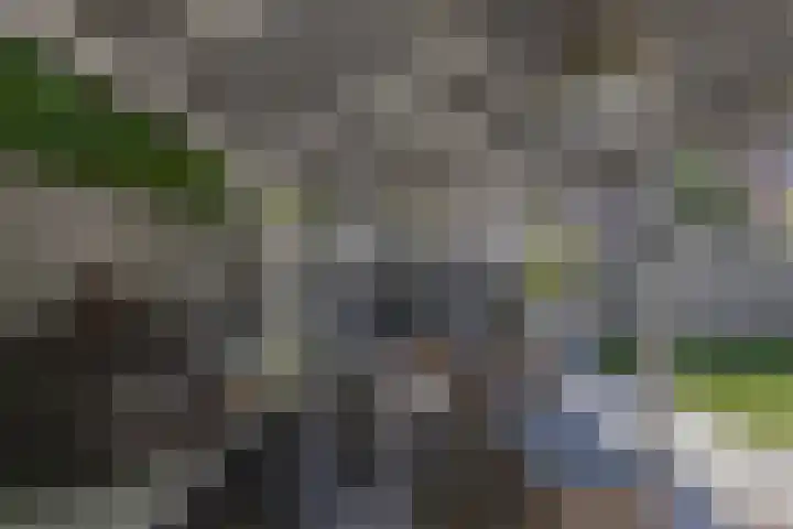 Roerdomp 16 Blaricum thumbnail 16