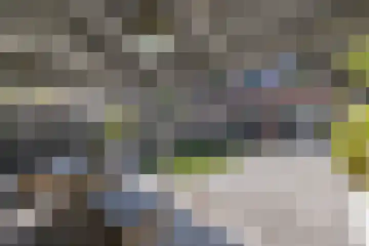 Roerdomp 16 Blaricum thumbnail 17