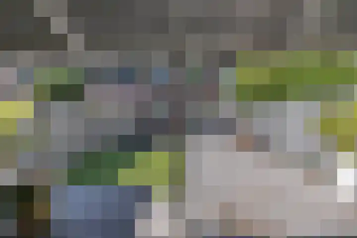 Roerdomp 16 Blaricum thumbnail 18