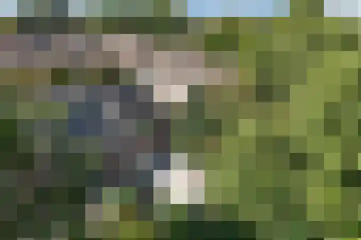 Roerdomp 16 Blaricum thumbnail 20
