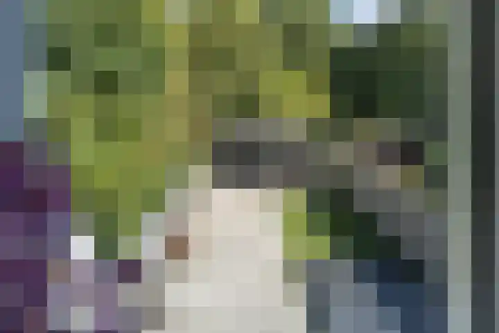 Roerdomp 16 Blaricum thumbnail 21