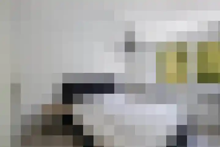 Roerdomp 16 Blaricum thumbnail 24