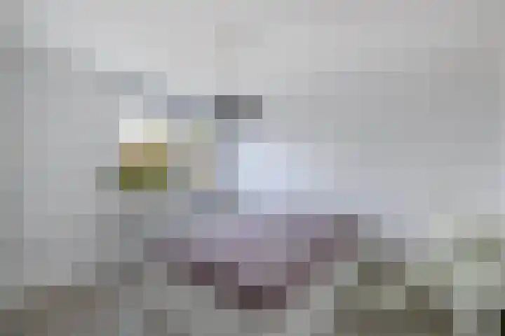 Roerdomp 16 Blaricum thumbnail 28