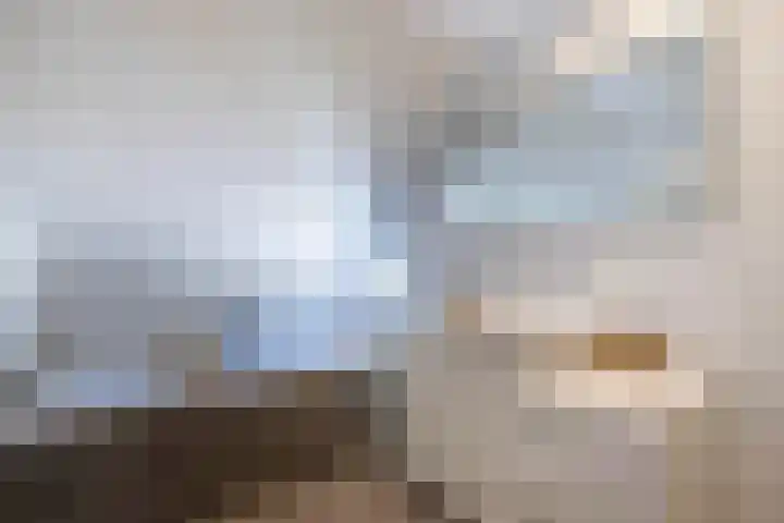 Roerdomp 16 Blaricum thumbnail 31