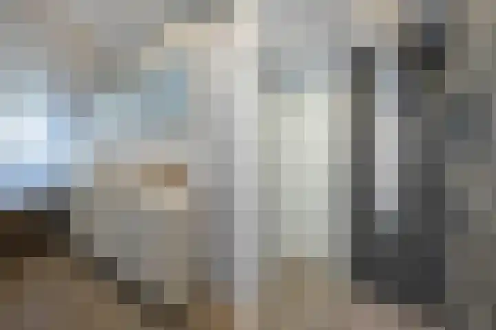 Roerdomp 16 Blaricum thumbnail 32