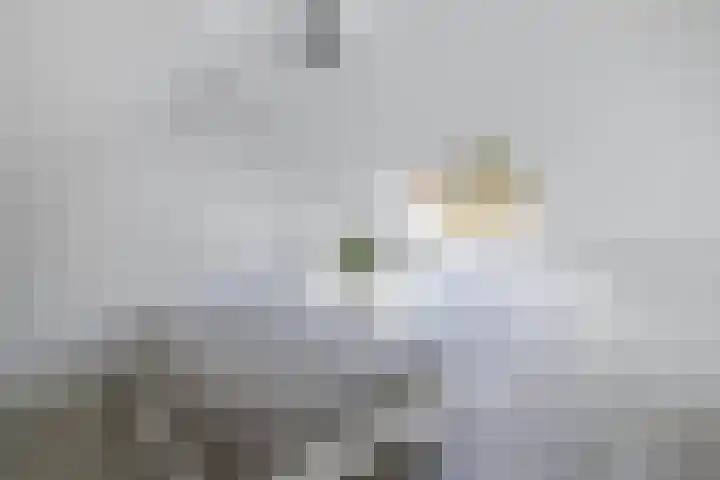 Roerdomp 16 Blaricum thumbnail 36