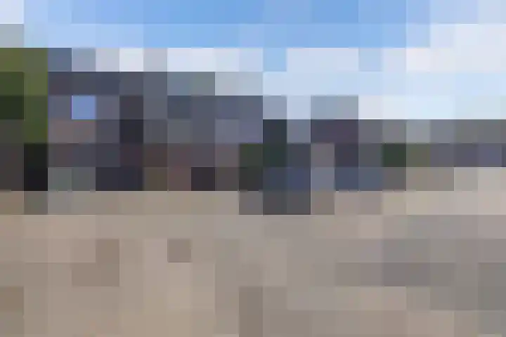 Roerdomp 16 Blaricum thumbnail 4