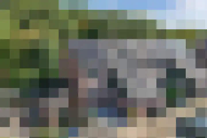 Roerdomp 16 Blaricum thumbnail 40