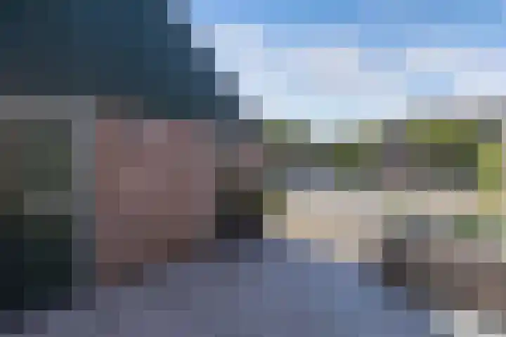 Roerdomp 16 Blaricum thumbnail 5