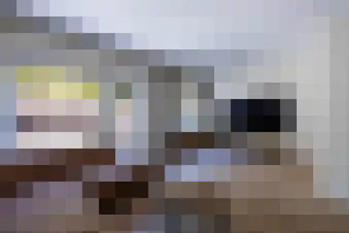 Roerdomp 16 Blaricum thumbnail 9