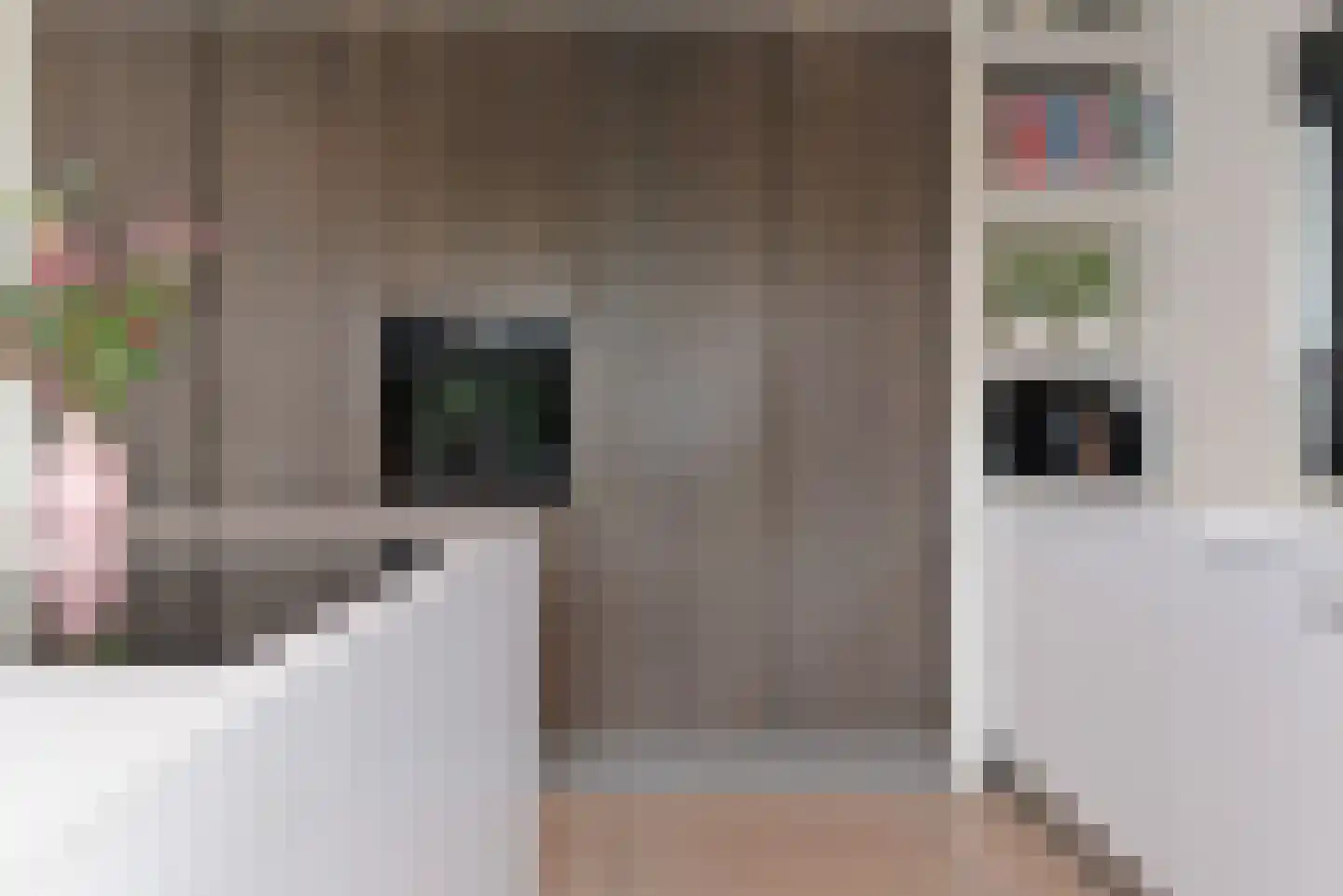 Roerdomp 16 Spanbroek