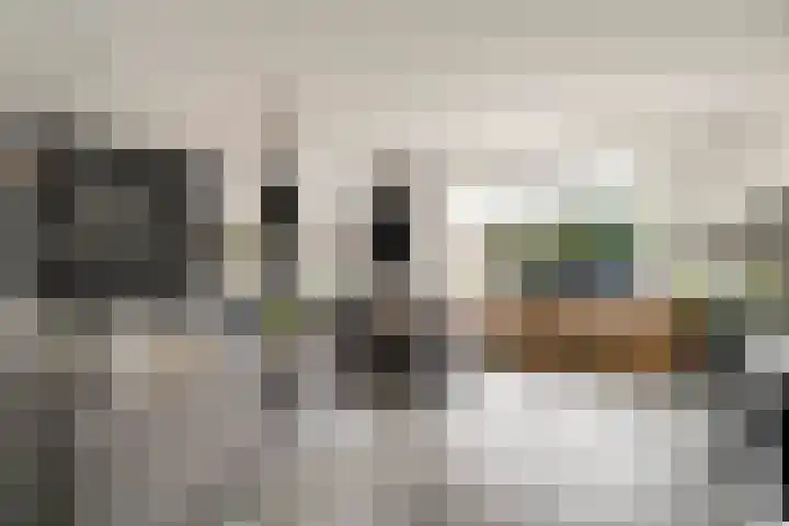 Roerdomp 16 Spanbroek thumbnail 10