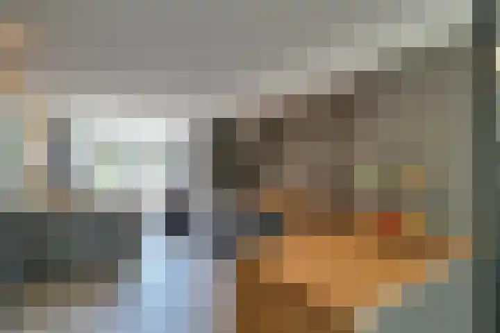 Roerdomp 16 Spanbroek thumbnail 16