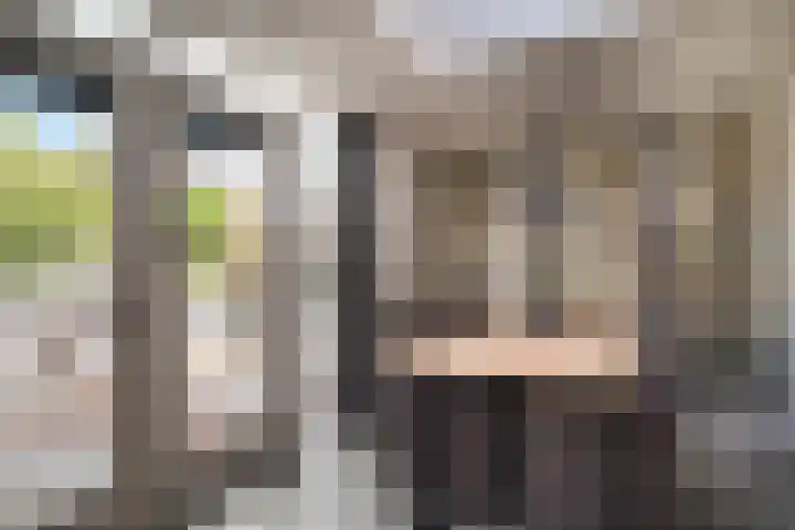 Roerdomp 16 Spanbroek thumbnail 21