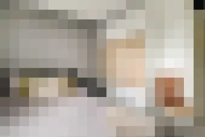 Roerdomp 16 Spanbroek thumbnail 33