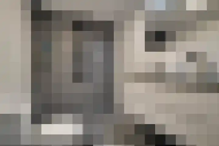 Roerdomp 16 Spanbroek thumbnail 37
