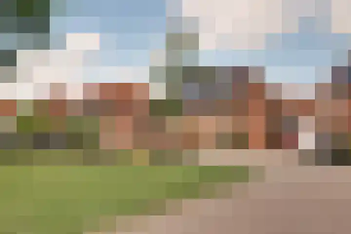 Roerdomp 16 Spanbroek thumbnail 4