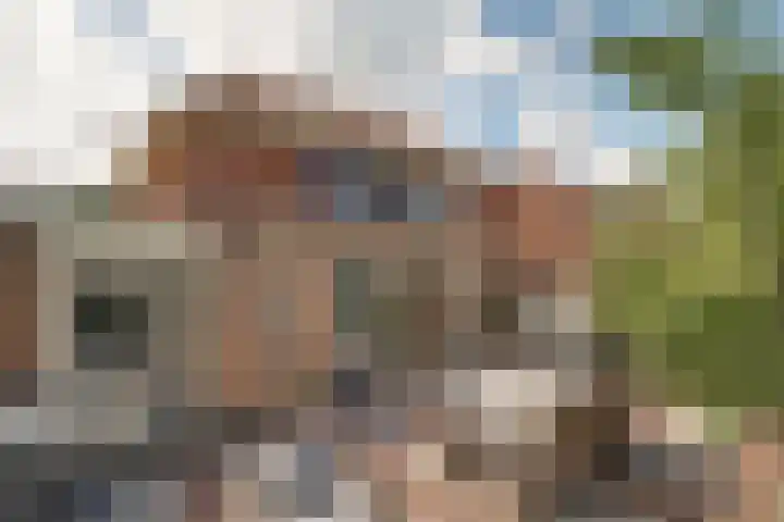 Roerdomp 16 Spanbroek thumbnail 46