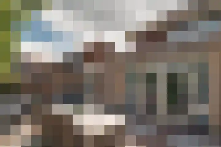 Roerdomp 16 Spanbroek thumbnail 47