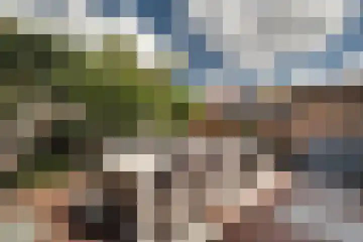 Roerdomp 16 Spanbroek thumbnail 48