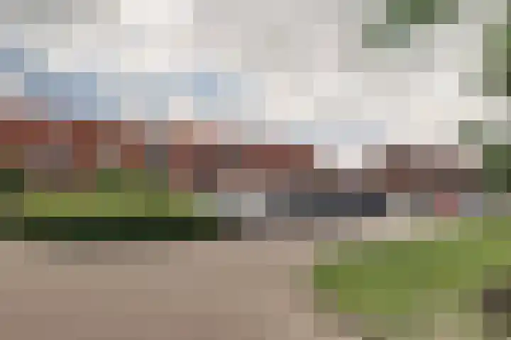 Roerdomp 16 Spanbroek thumbnail 50