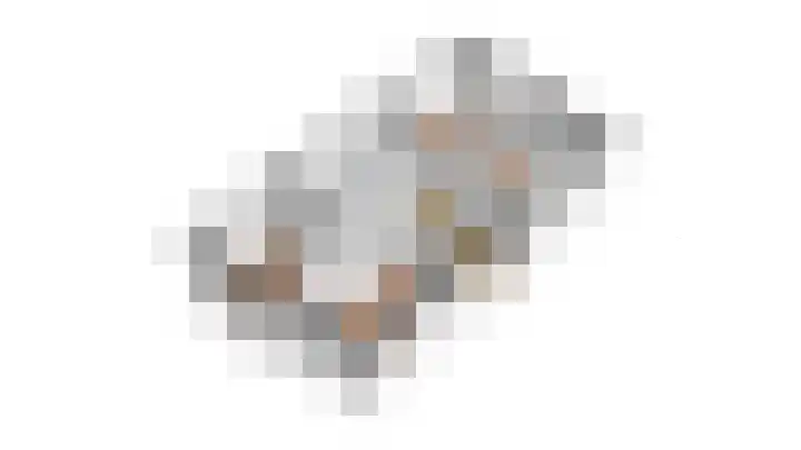 Roerdomp 16 Spanbroek thumbnail 57