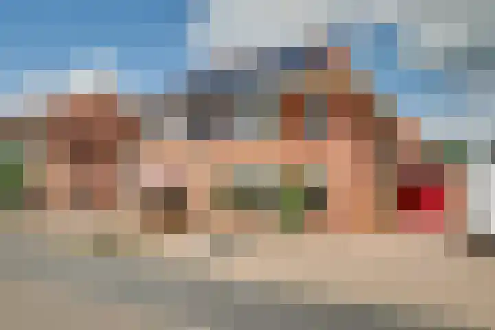 Roerdomp 16 Spanbroek thumbnail 61