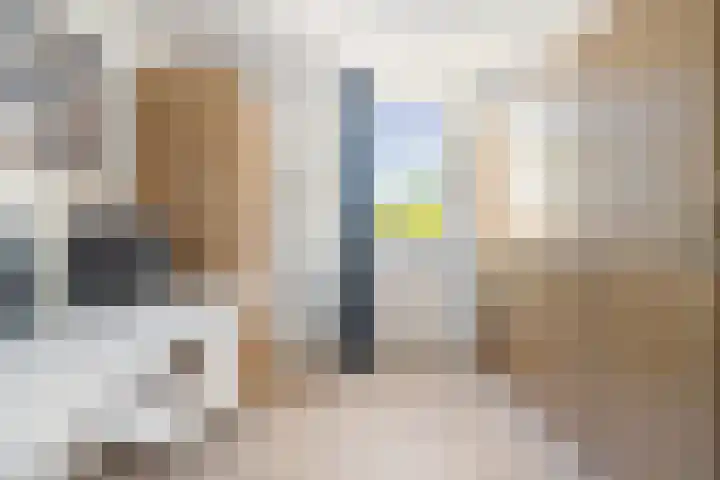 Roerdomp 19 Etten-Leur thumbnail 17
