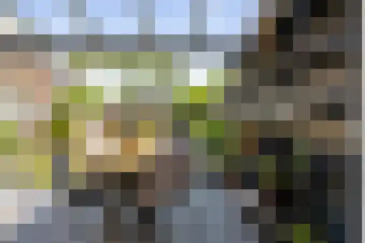 Roerdomp 19 Etten-Leur thumbnail 30