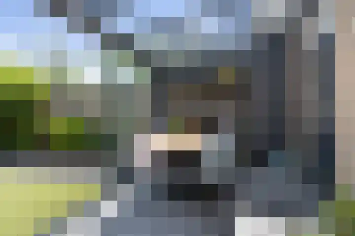 Roerdomp 19 Etten-Leur thumbnail 33