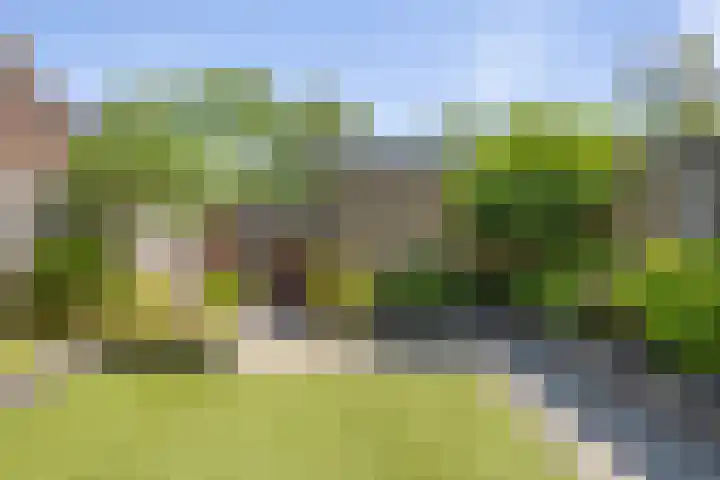 Roerdomp 19 Etten-Leur thumbnail 35