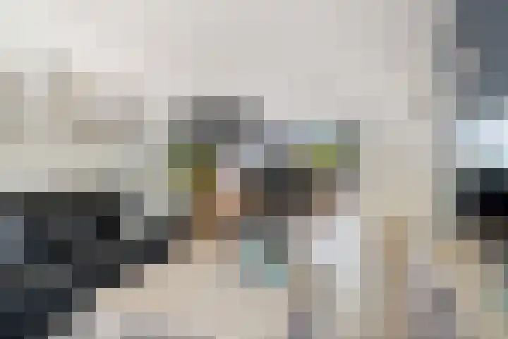 Roerdomp 19 Etten-Leur thumbnail 5