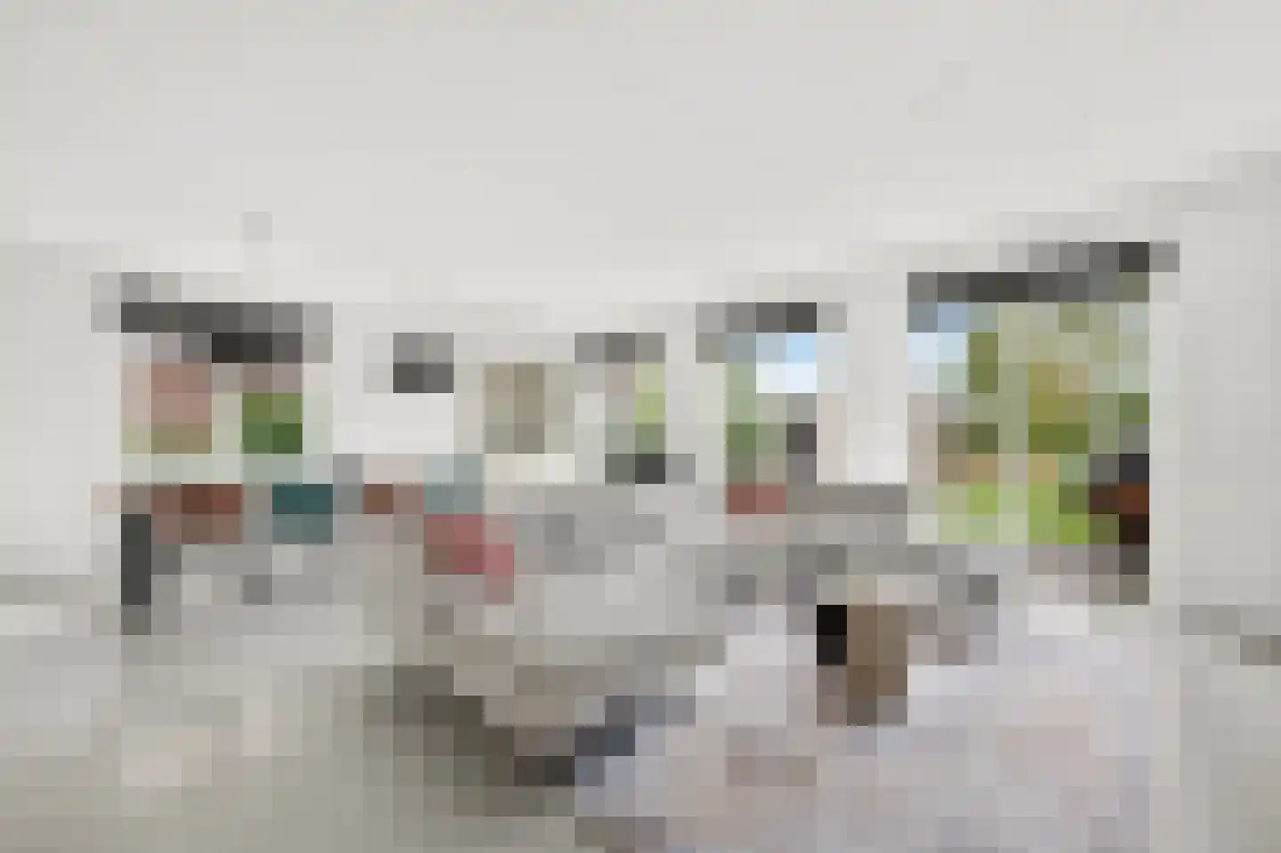Roerdomp 2 Papendrecht thumbnail 11
