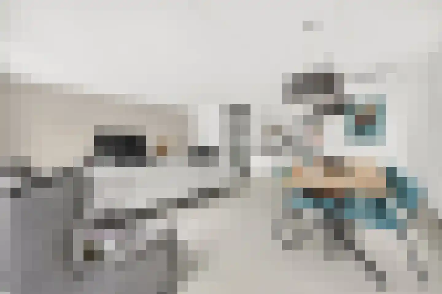 Roerdomp 2 Papendrecht thumbnail 15