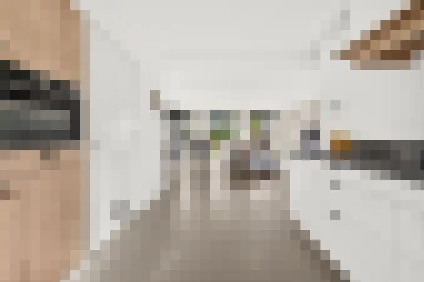 Roerdomp 2 Papendrecht thumbnail 18