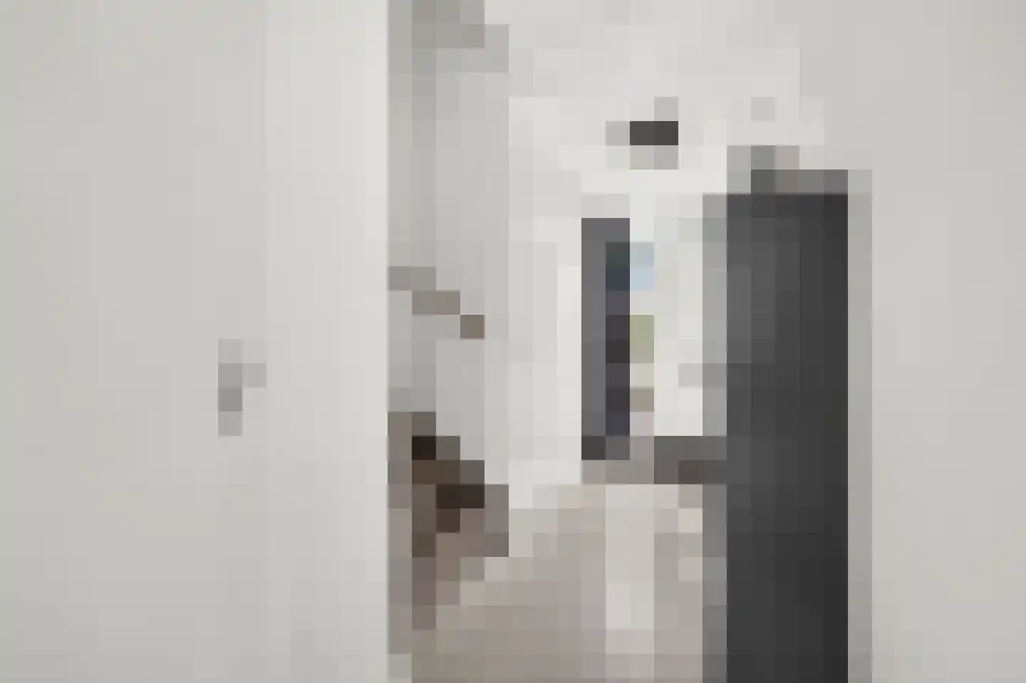 Roerdomp 2 Papendrecht thumbnail 20