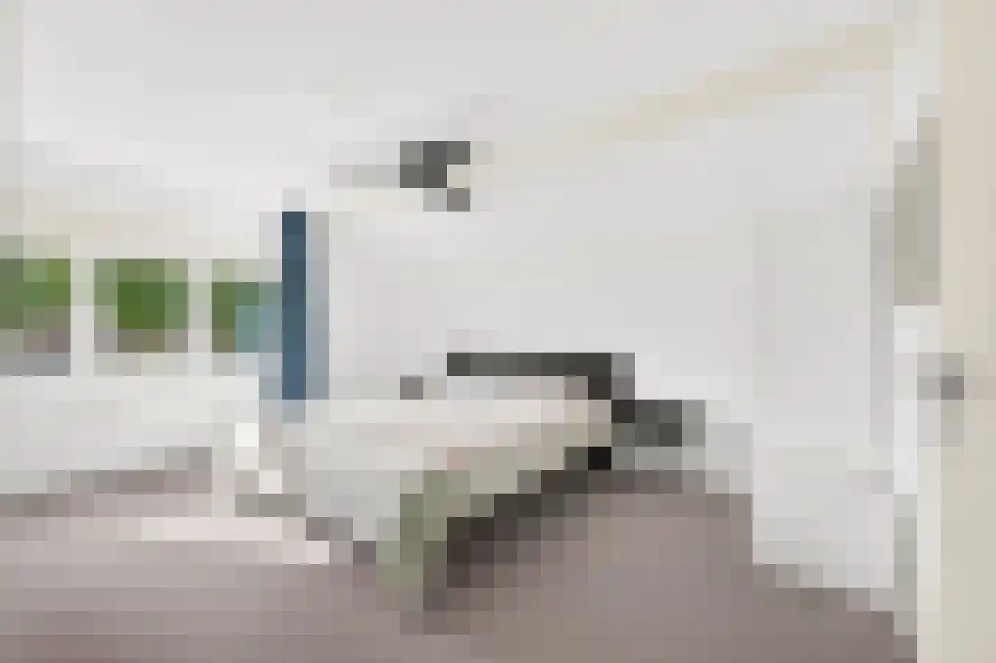 Roerdomp 2 Papendrecht thumbnail 23