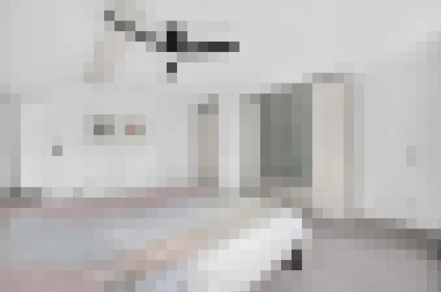 Roerdomp 2 Papendrecht thumbnail 25