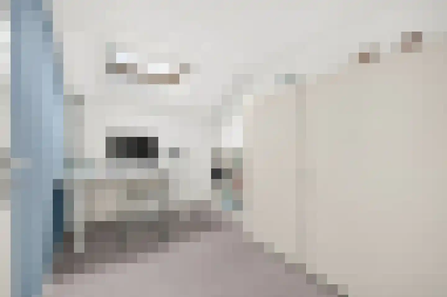 Roerdomp 2 Papendrecht thumbnail 29