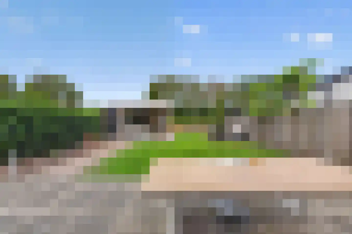 Roerdomp 2 Papendrecht thumbnail 33