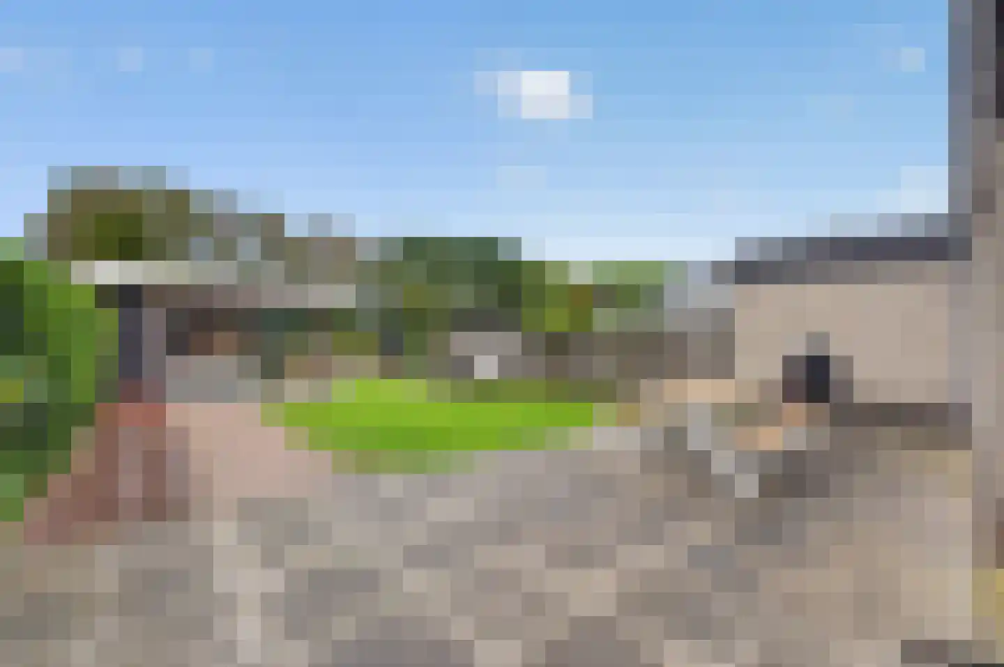 Roerdomp 2 Papendrecht thumbnail 34