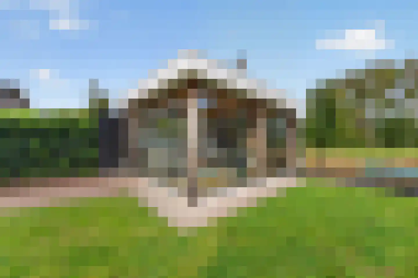Roerdomp 2 Papendrecht thumbnail 35