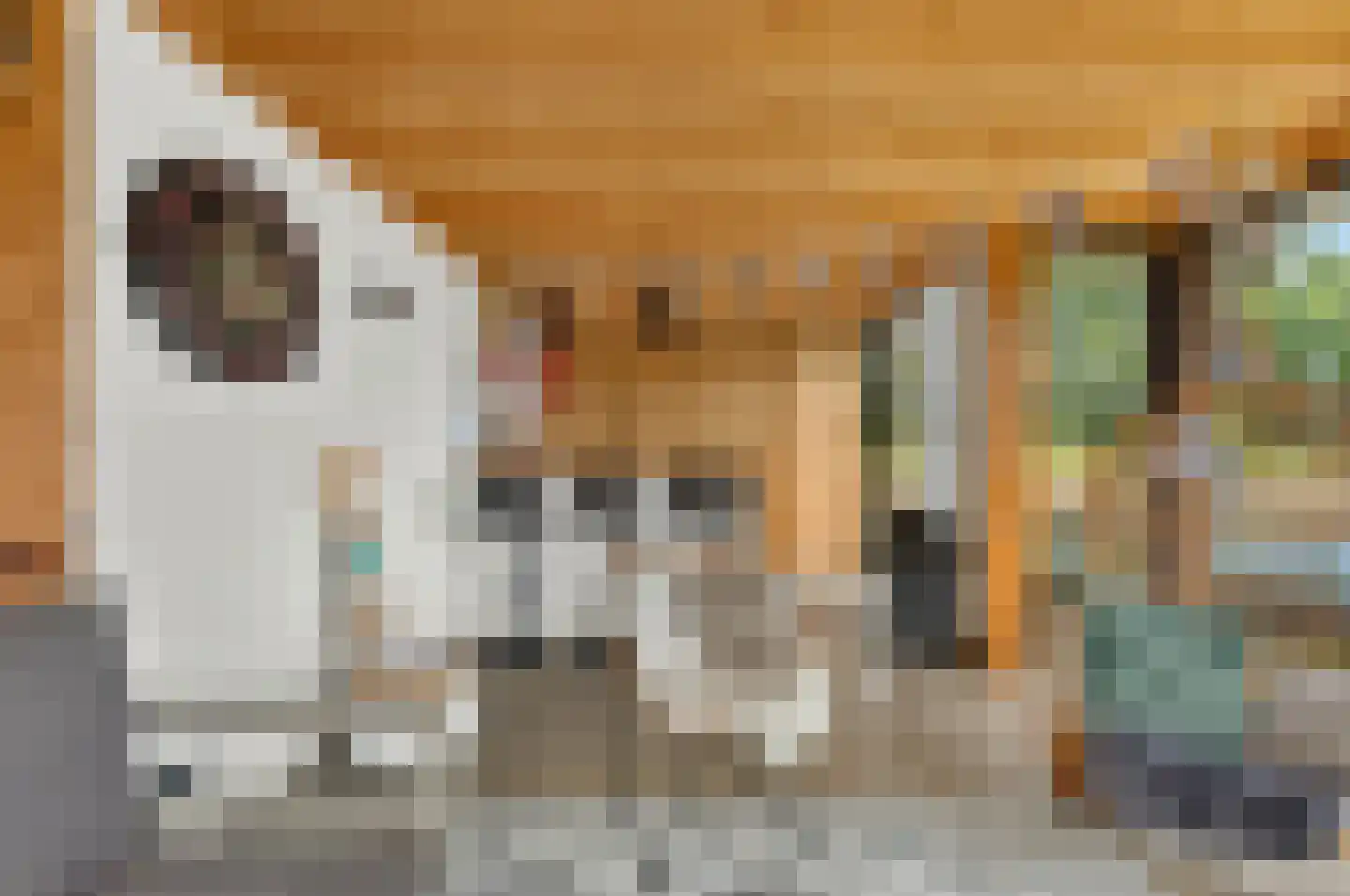 Roerdomp 2 Papendrecht thumbnail 37