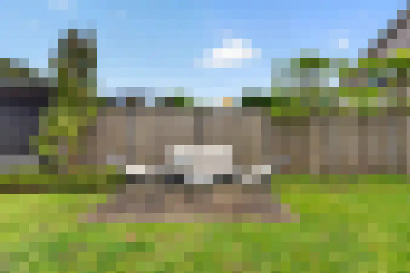 Roerdomp 2 Papendrecht thumbnail 39
